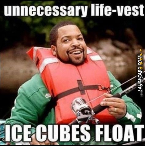 Ice Cubes Float