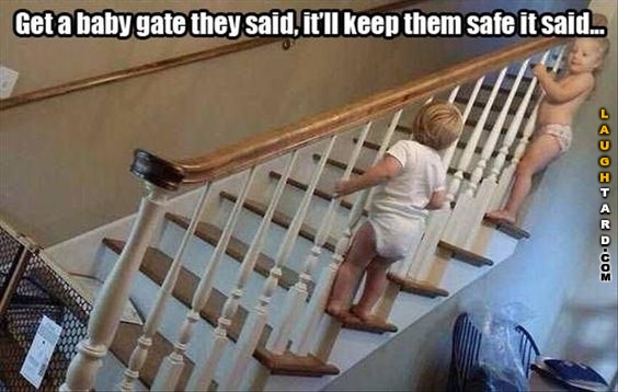 Get a baby gate they said