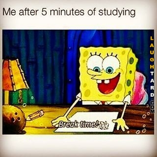 40 Funny Pictures Of The Day! 2002746932