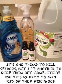 Natural Ways To Get Rid Of Pesky Insects 1796026632