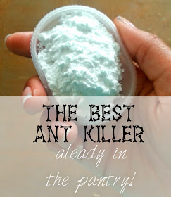Natural Ways To Get Rid Of Pesky Insects 716362818
