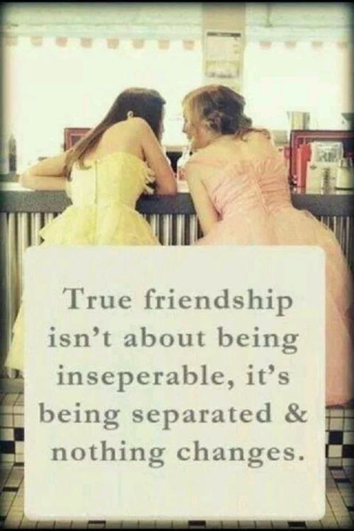 33 Quotes About Friendships 312219903